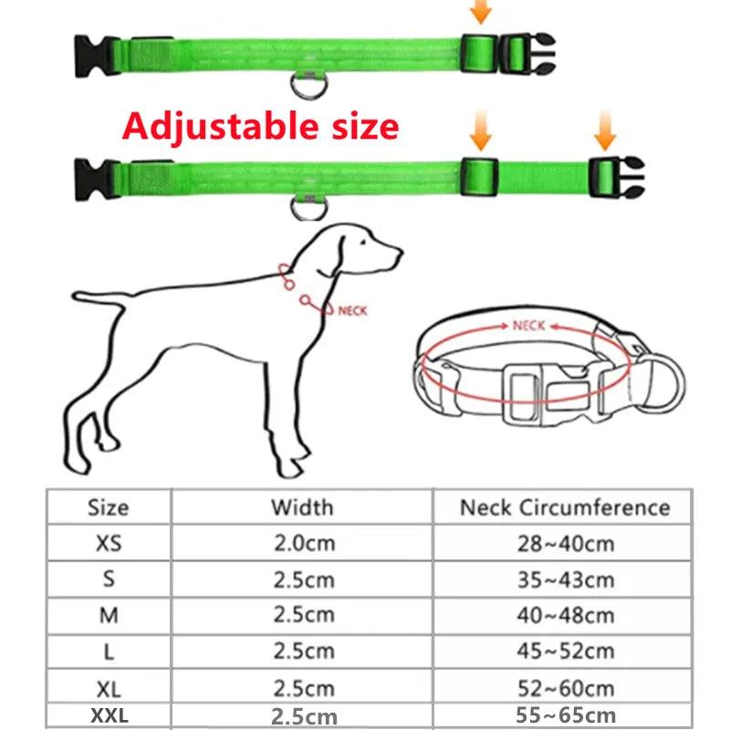 LED Glowing Dog Collar - HeyBless