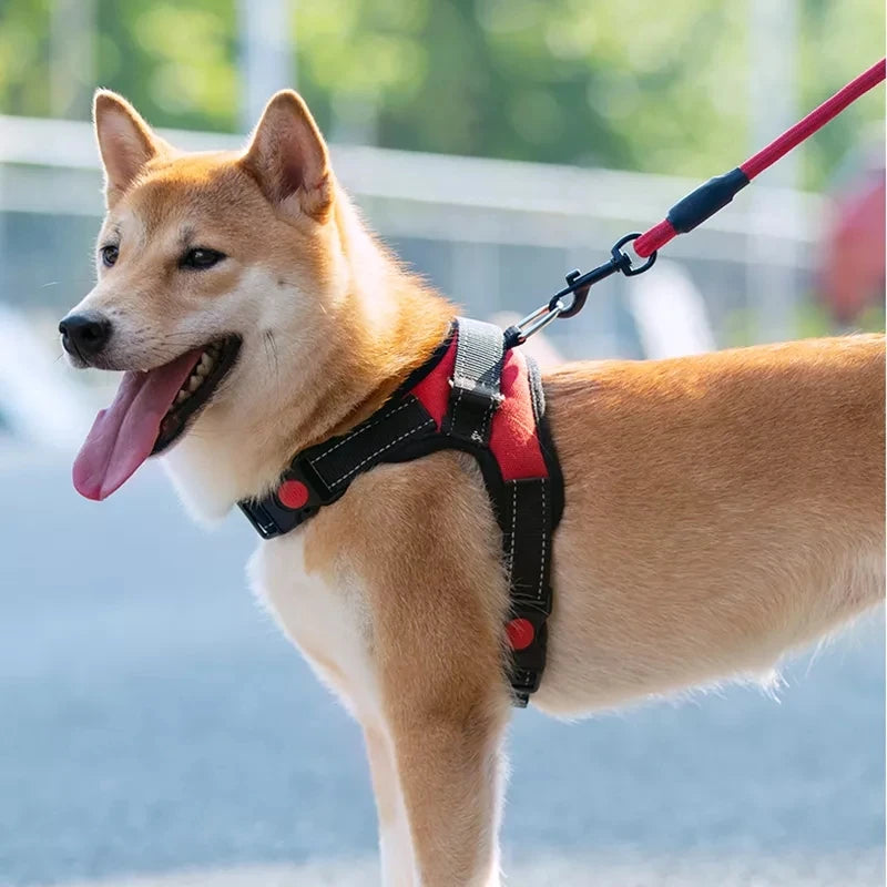 Adjustable Pet Dog Harness