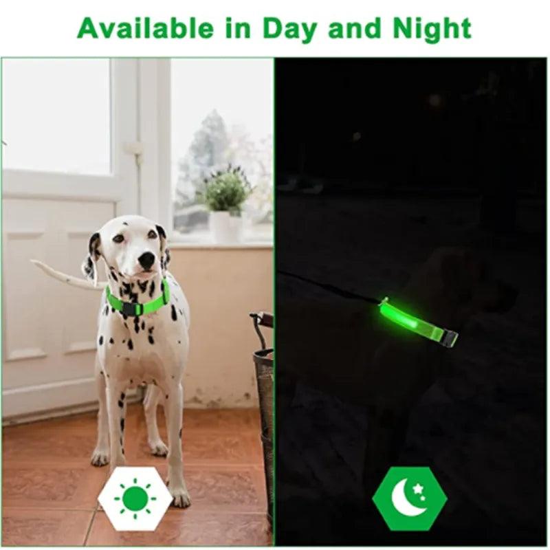 LED Glowing Dog Collar - HeyBless